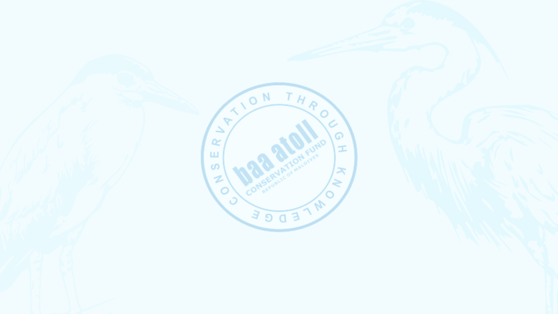 Baa Atoll Council to attempt Word Record Event